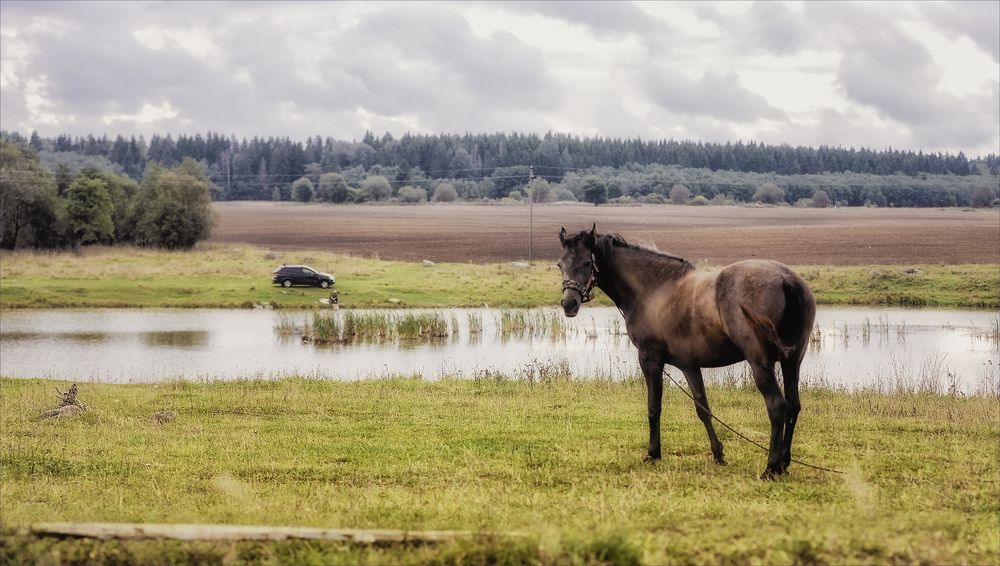 Photograph by Игорь Майоров