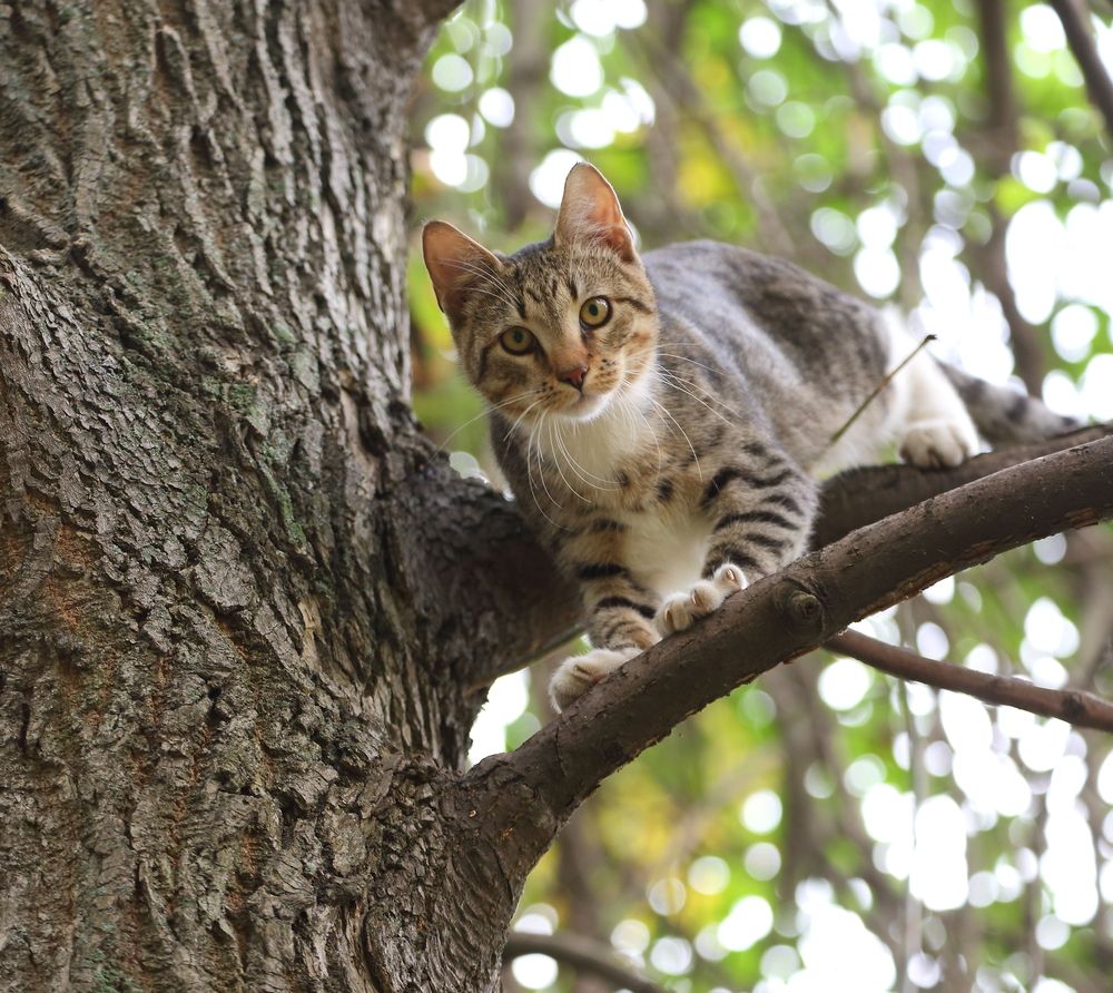 Photograph by Станислав Вершинин