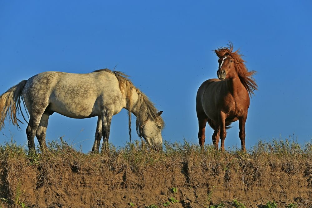 Фотография автора Юрий Кетель