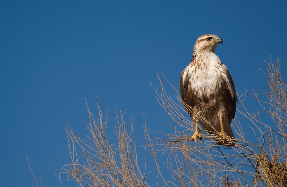 Photograph by Reza Nik