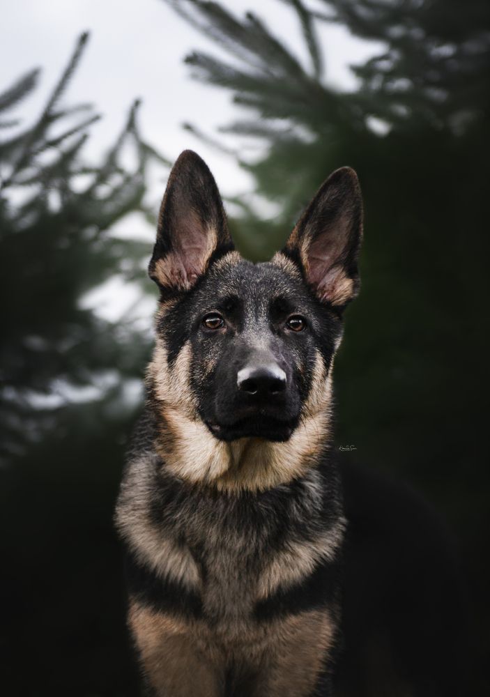 Photograph by Шитикова Ксения