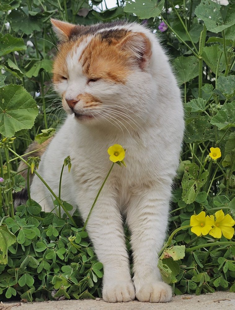 Фотография автора Oksana Podgorodetska