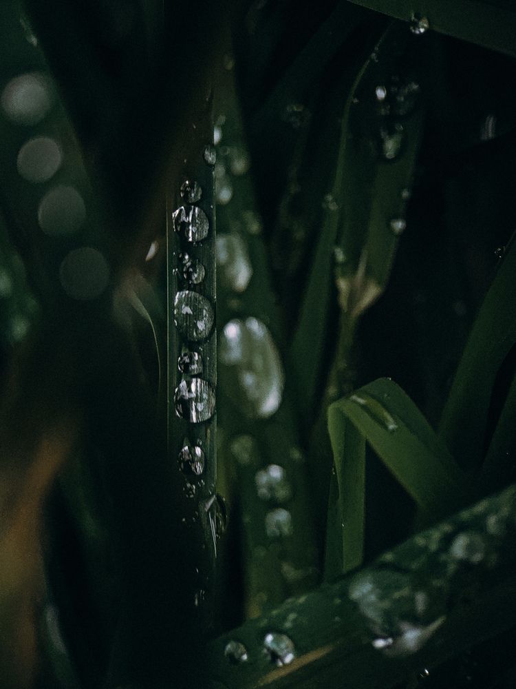 Photograph by Алиса Исаева