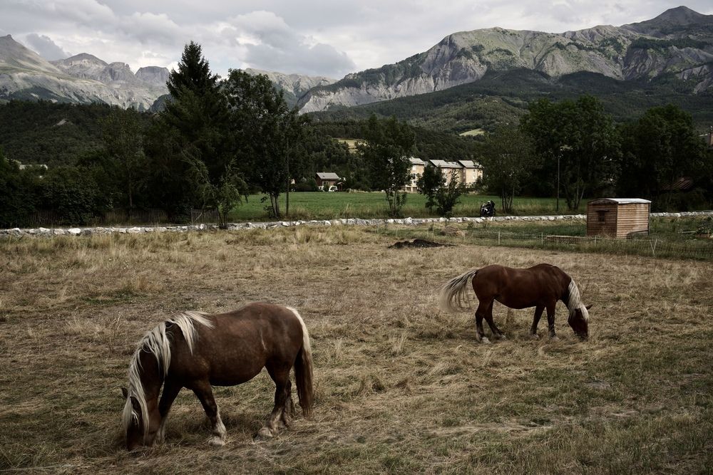 Photograph by Marina Odintsova