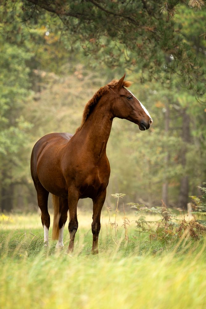 Photograph by Jettie Roest