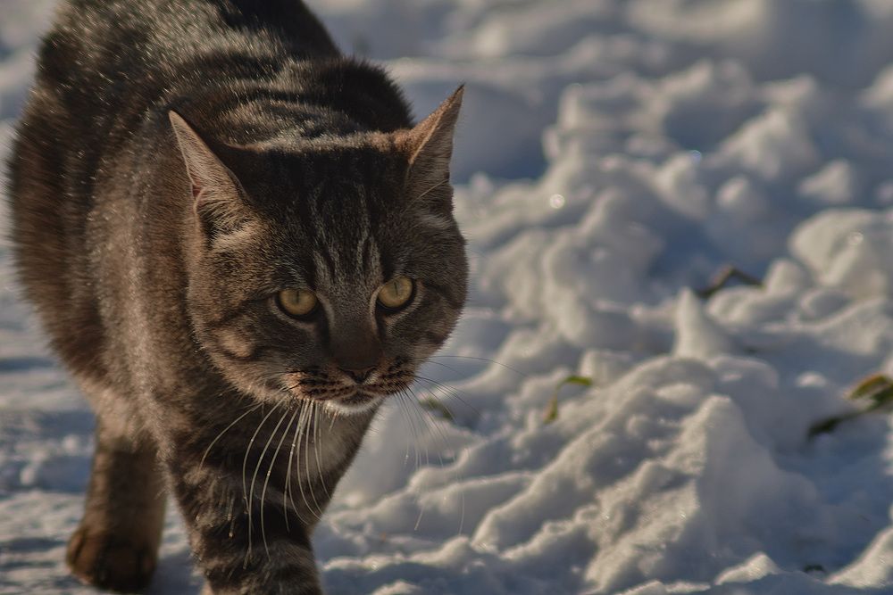 Фотография автора Анастасия Бондарь