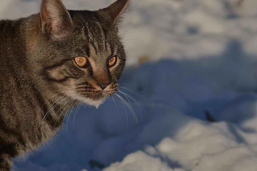 Фотография автора Анастасия Бондарь
