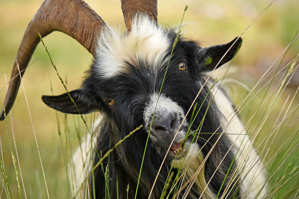 Photograph by Marjo Steffen