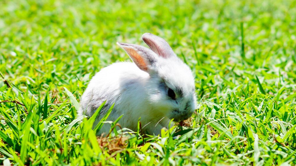 Фотография автора Дмитрий Земсков