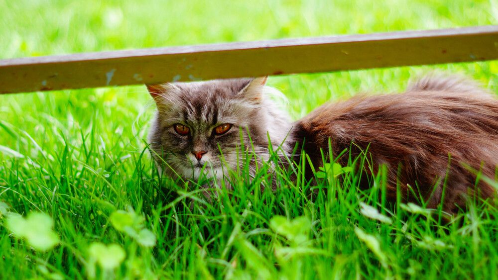 Фотография автора Дмитрий Земсков