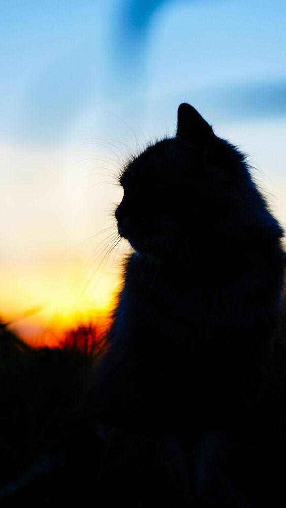 Фотография автора Дмитрий Земсков