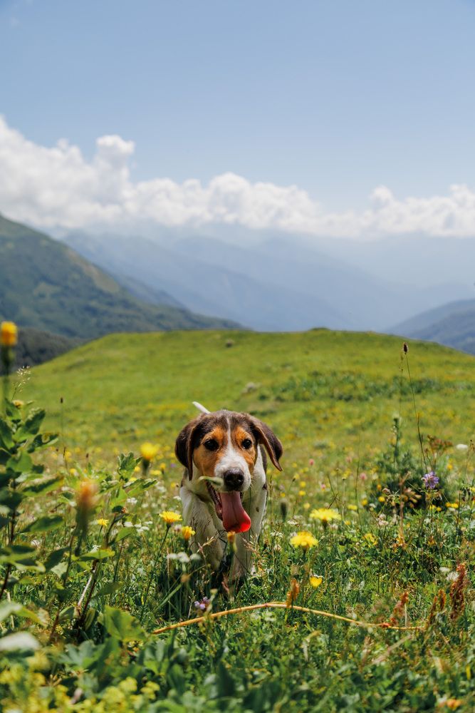 Фотография автора Fallen Angel