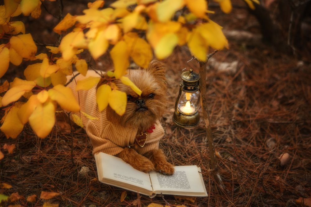 Photograph by Ирина Корх