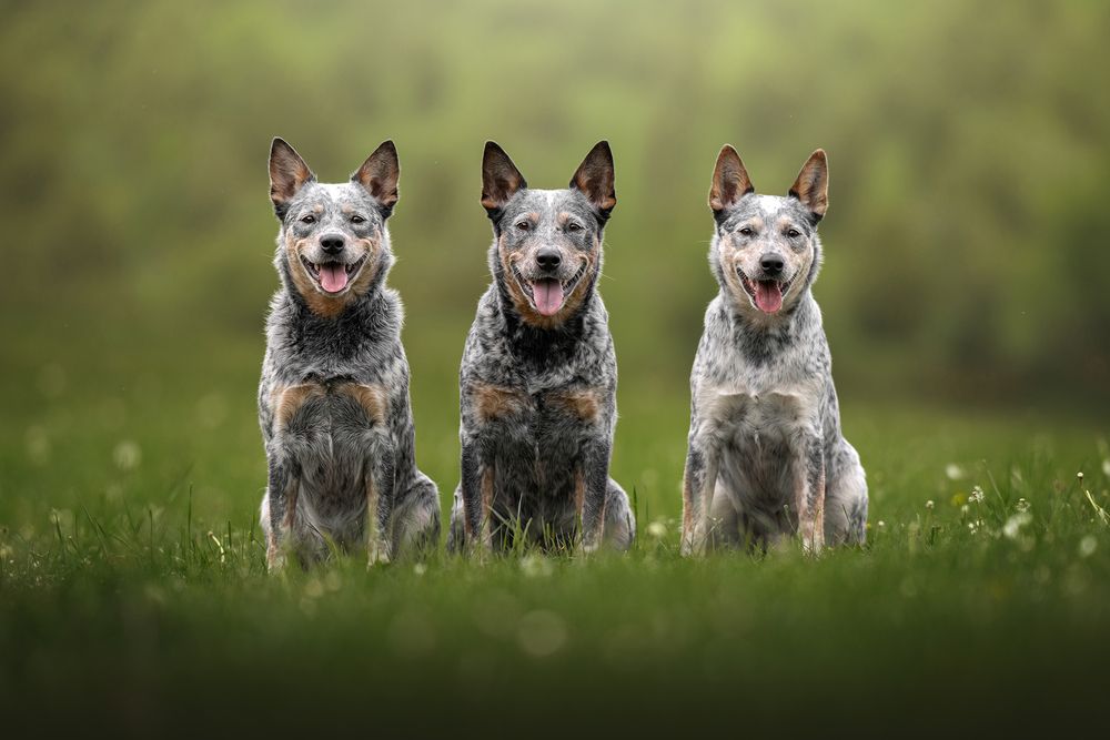 Photograph by Dorota Hnatová