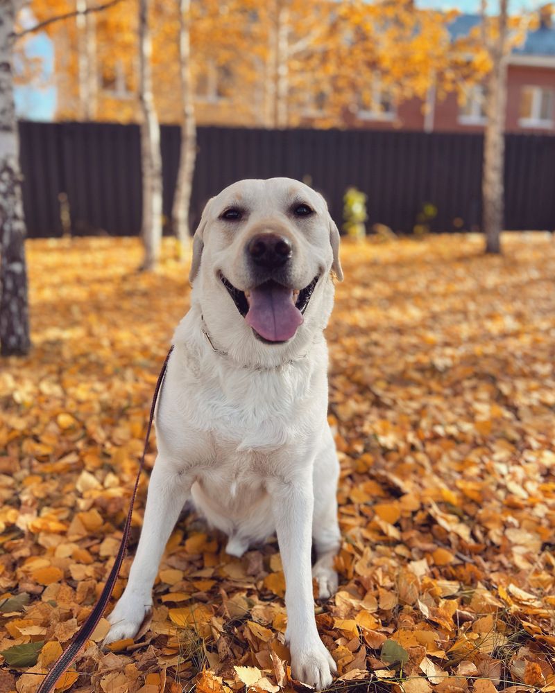 Photograph by Татьяна Волохова