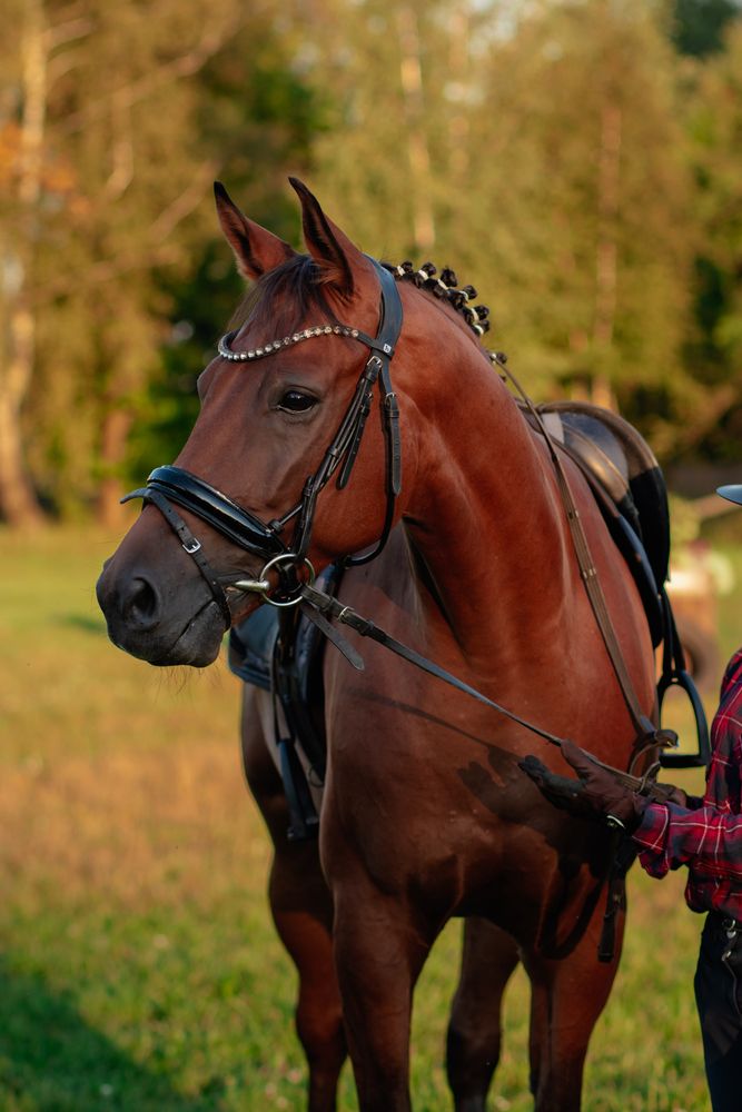 Фотография автора Виталий Потапенок