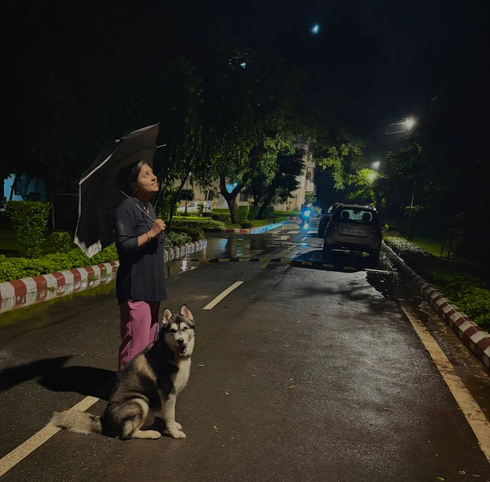 Photograph by Sharma Dr Megha