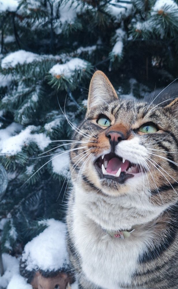 Photograph by Tatiana Kirillova