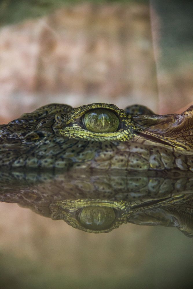 Photograph by Юлия Сысоева