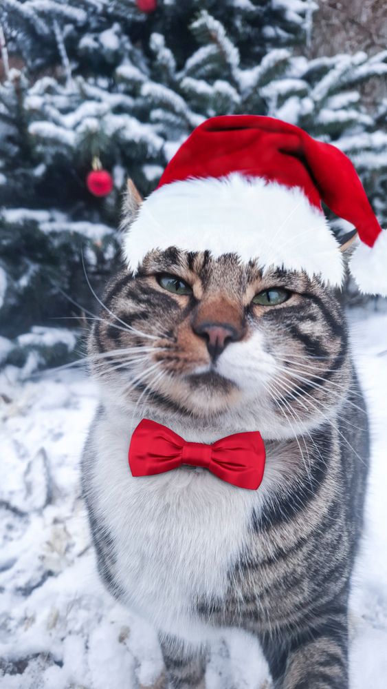 Photograph by Tatiana Kirillova