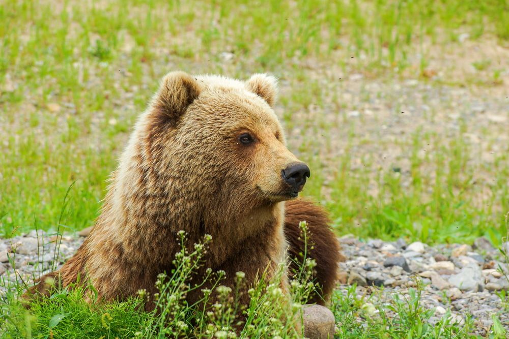Фотография автора Андрей Легостаев