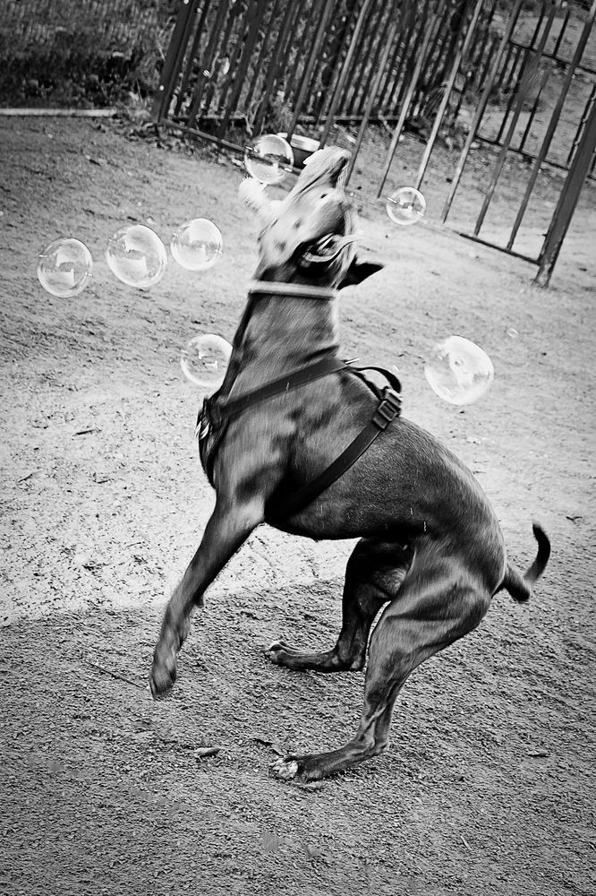 Photograph by Мария Дудина