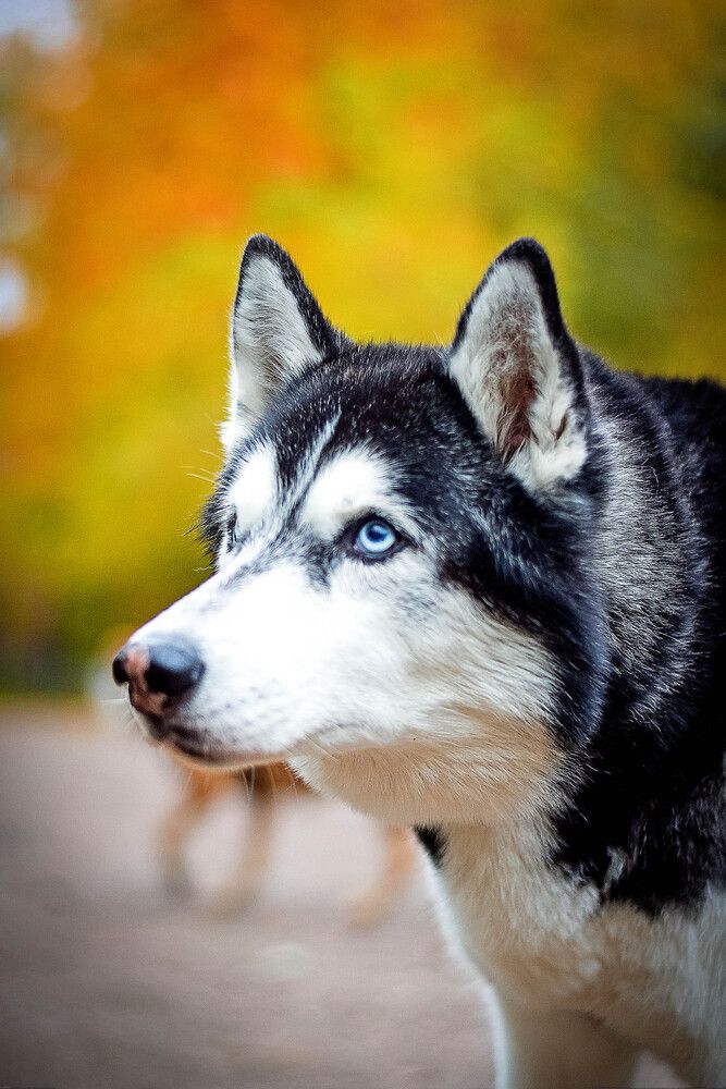 Photograph by Мария Дудина