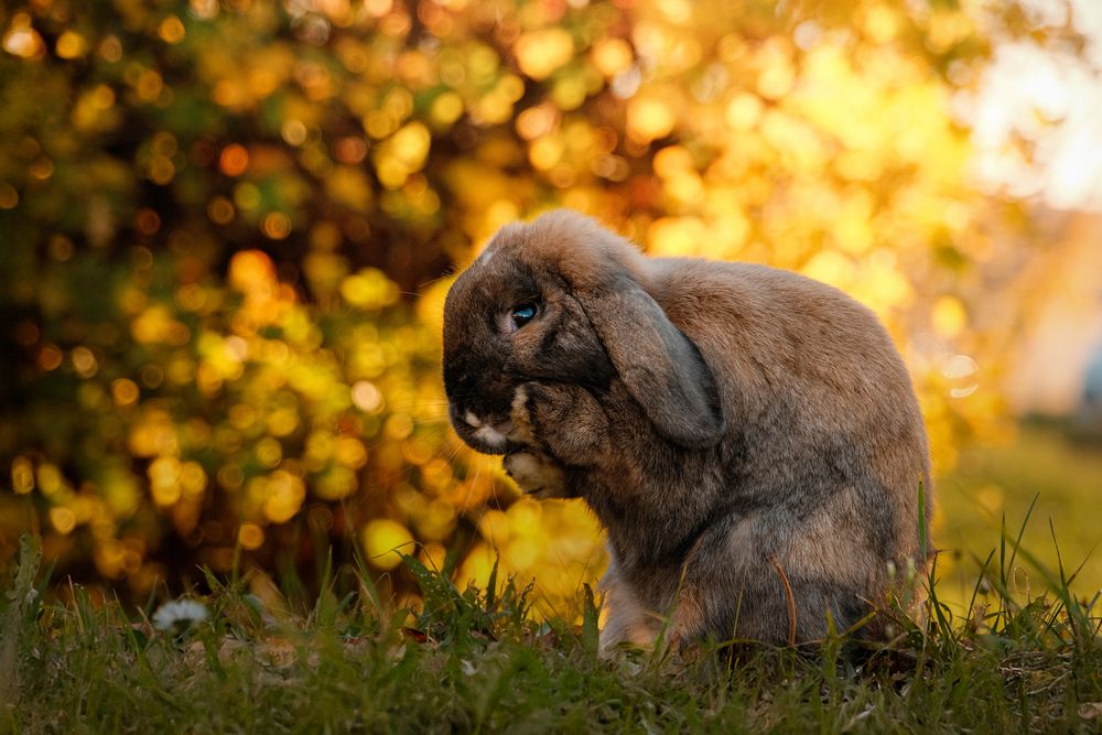 Photograph by Veronika Biró