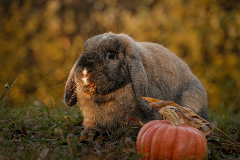 Photograph by Veronika Biró