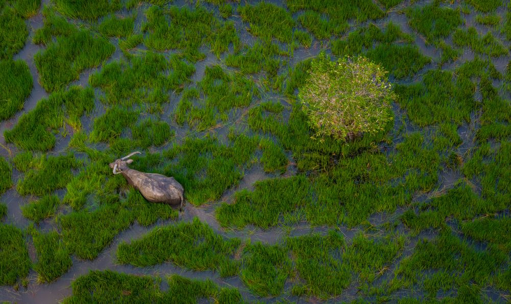 Photograph by May Nguyễn