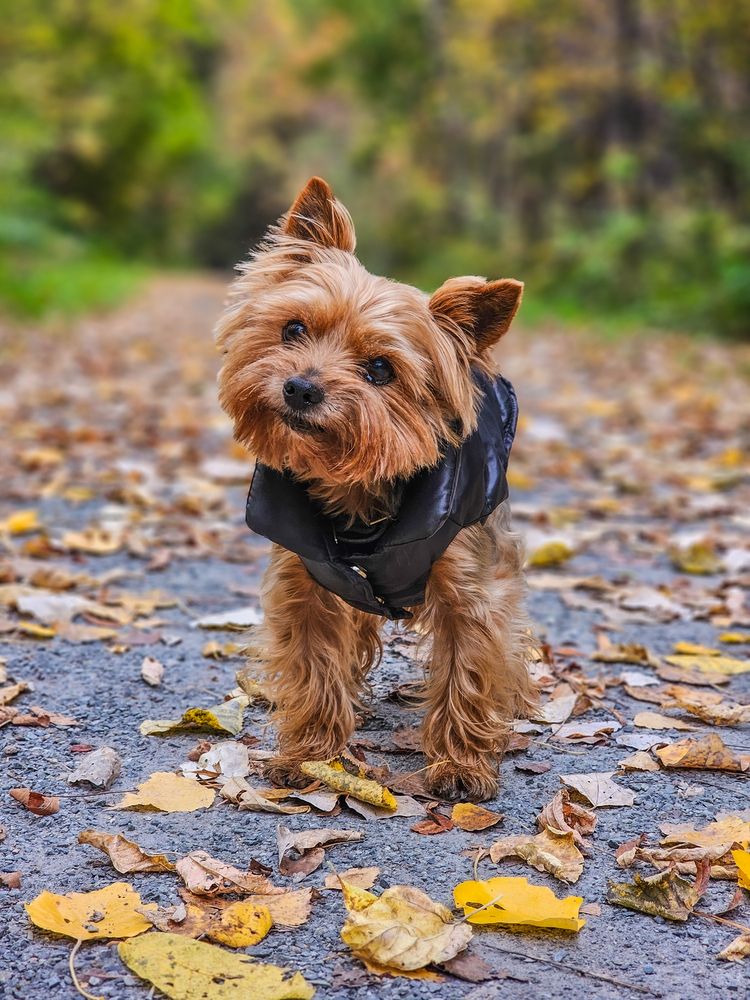 Photograph by Сергей Кесаев