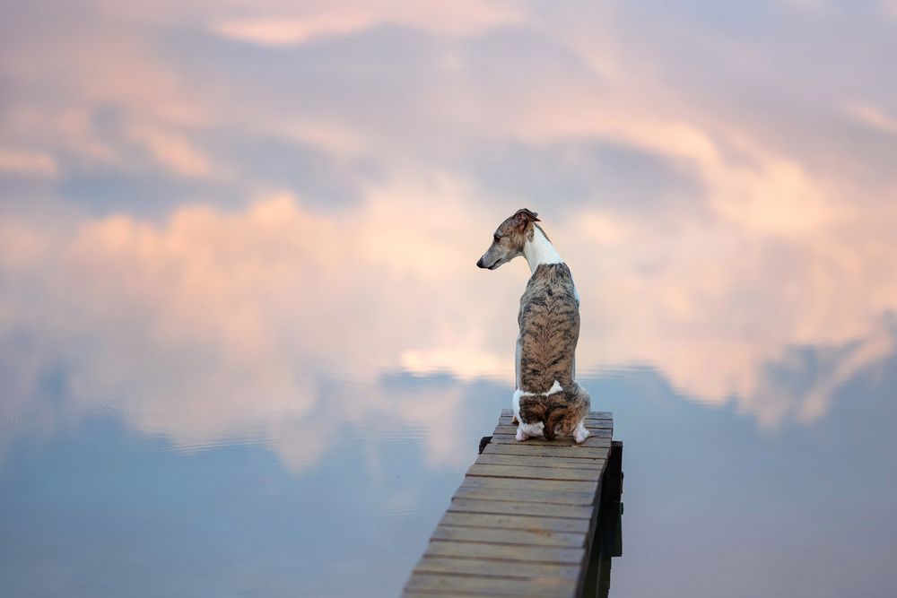 Photograph by Elena Yakuseva