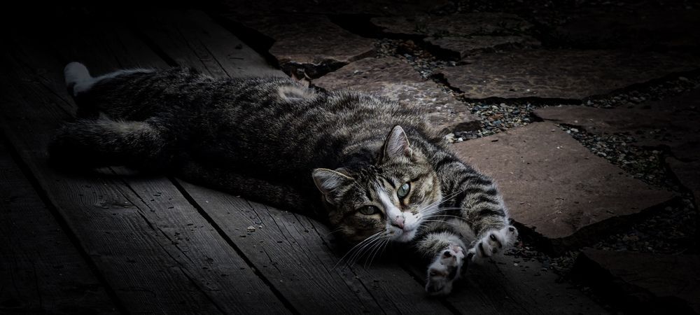 Photograph by Игорь Урывский