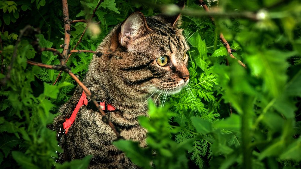 Photograph by Игорь Урывский