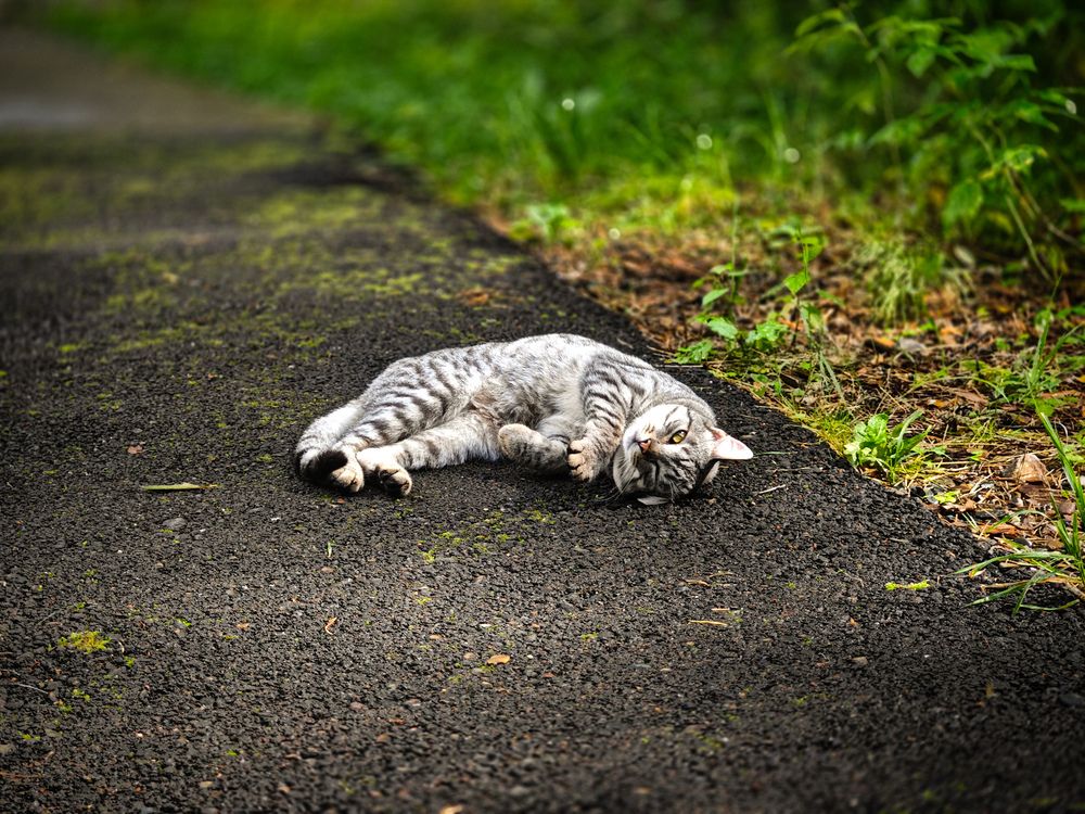 Photograph by Игорь Урывский