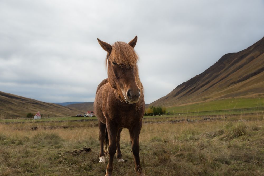 Фотография автора Sophie Abuhazera