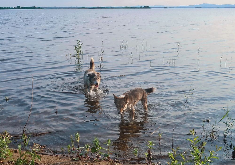 Photograph by Нина