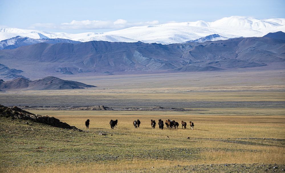 Photograph by Валентин Казанцев