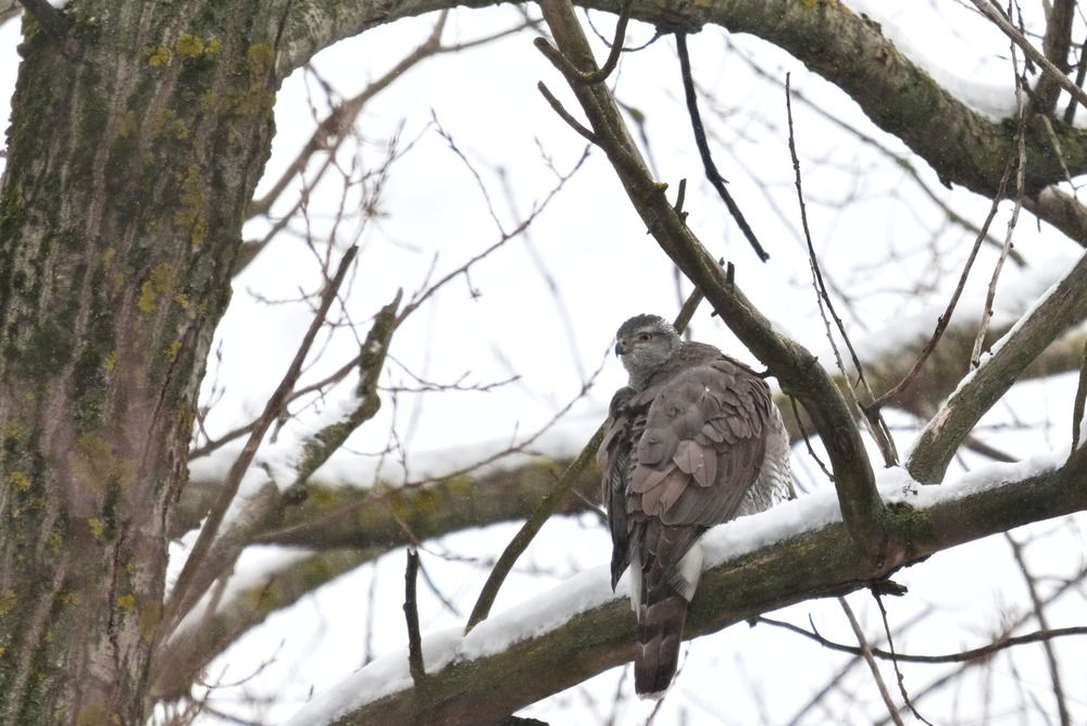 Photograph by Ольга Якубова