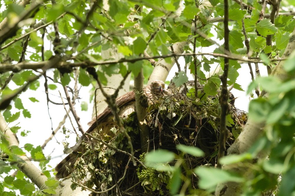 Photograph by Ольга Якубова