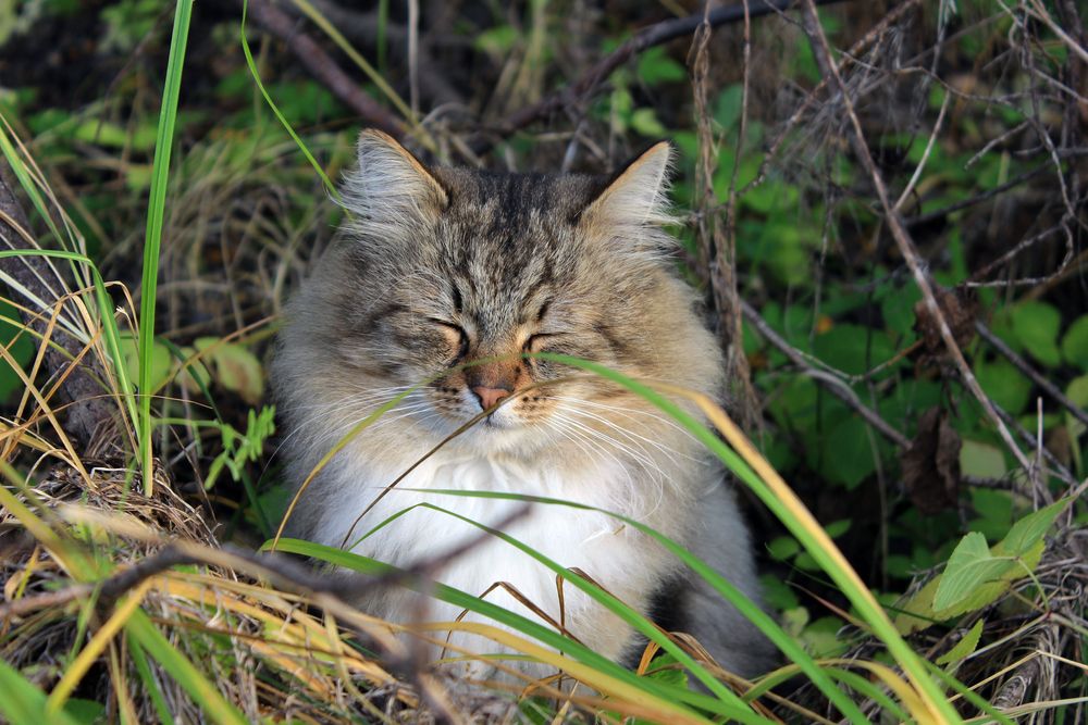 Photograph by Татьяна Сычёва