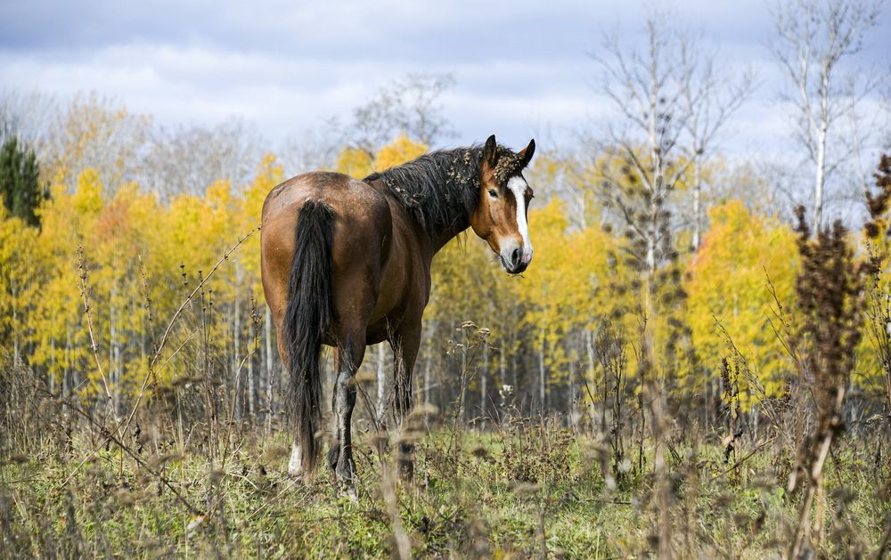 Photograph by Валентин Казанцев