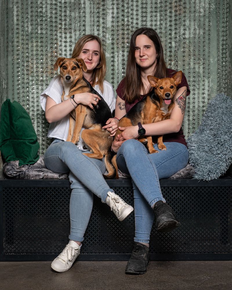 Фотография автора Krisztián Csalami