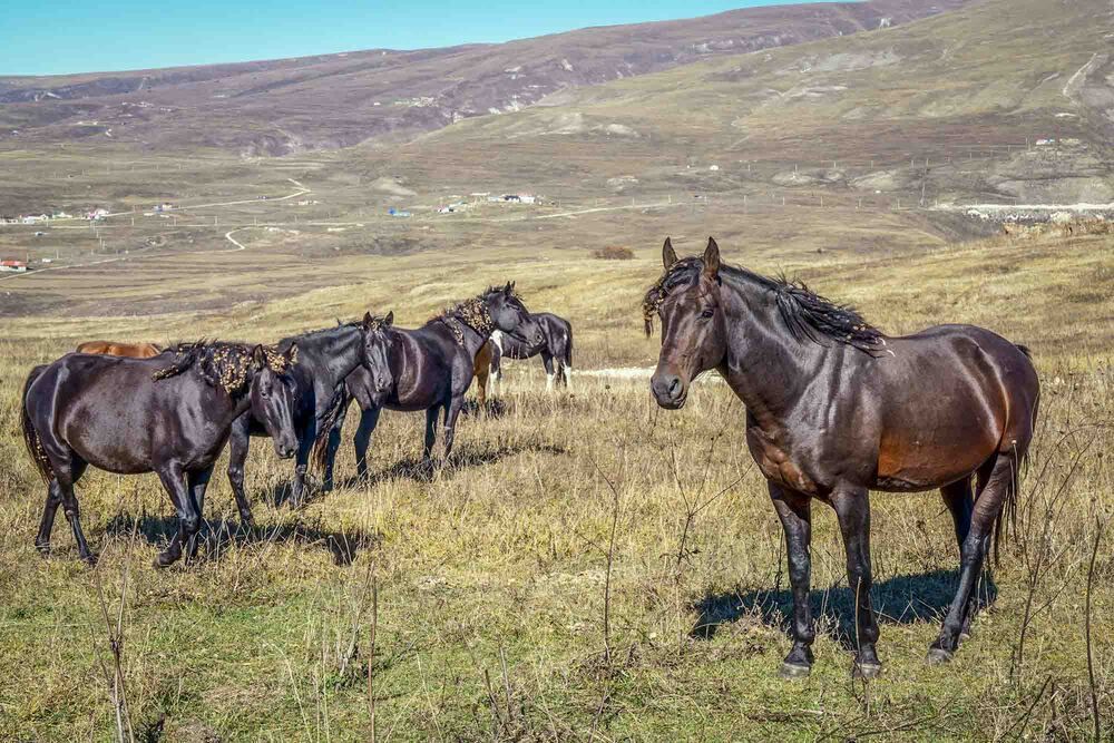 Photograph by Евгений Киселев