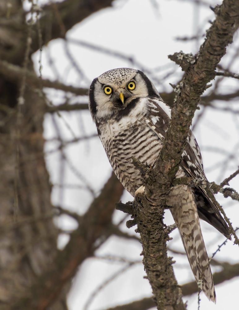 Photograph by Валентина Куренкова