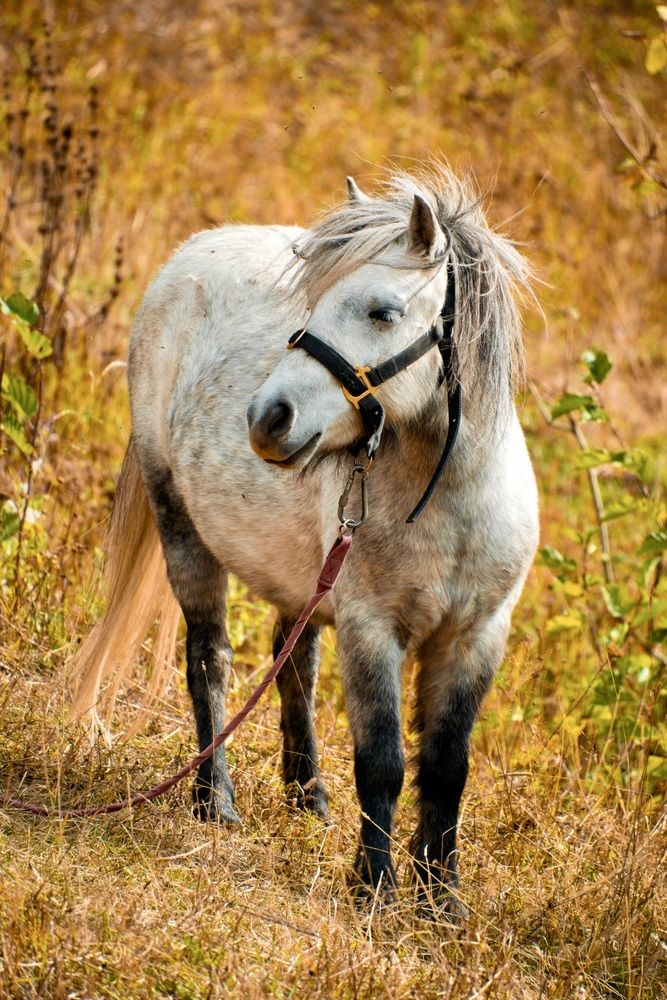 Photograph by Анастасия Дулова