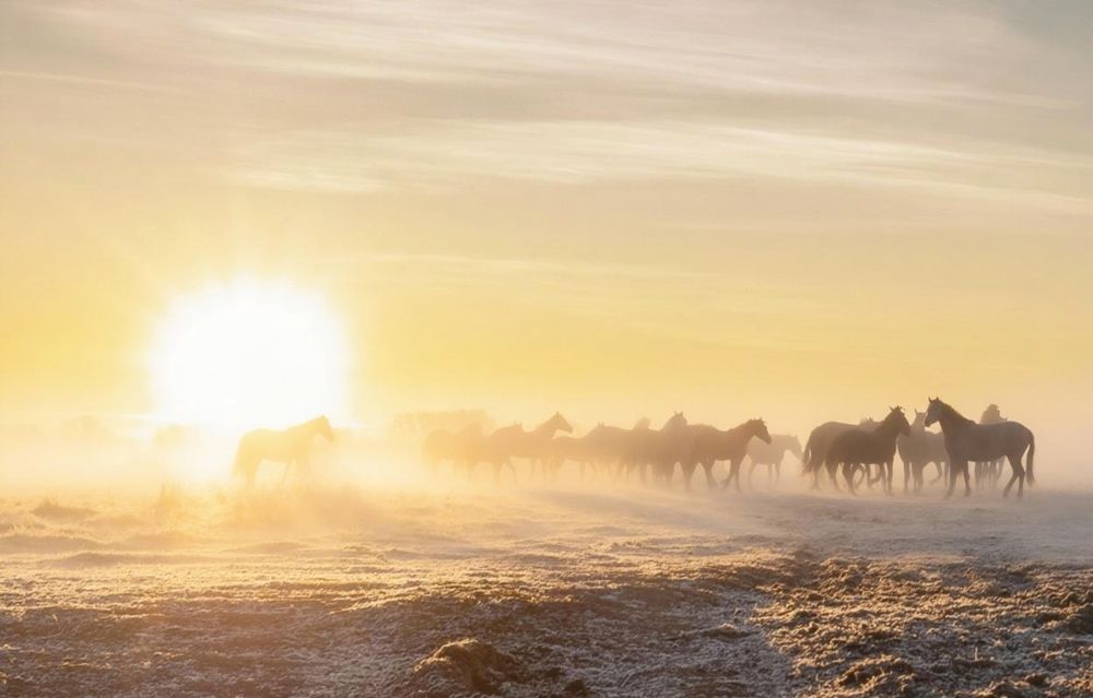 Photograph by Александра Токарева