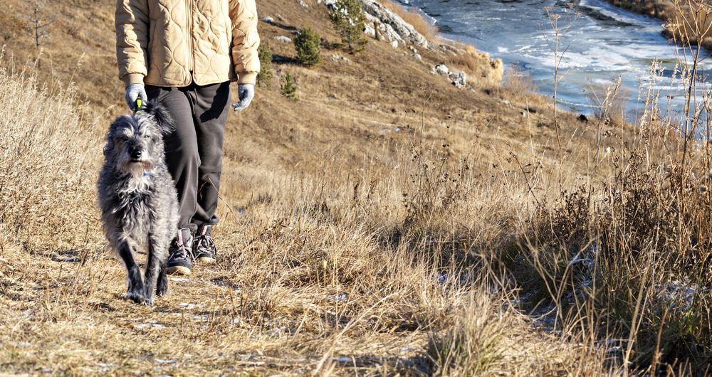 Photograph by Елена Гоосен