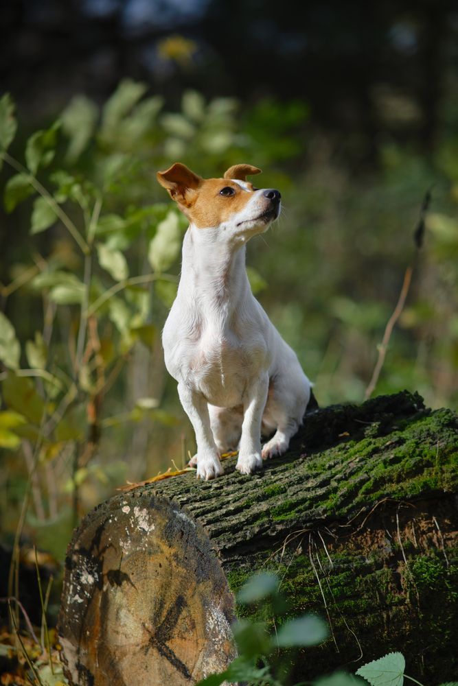 Photograph by Татьяна Михеева