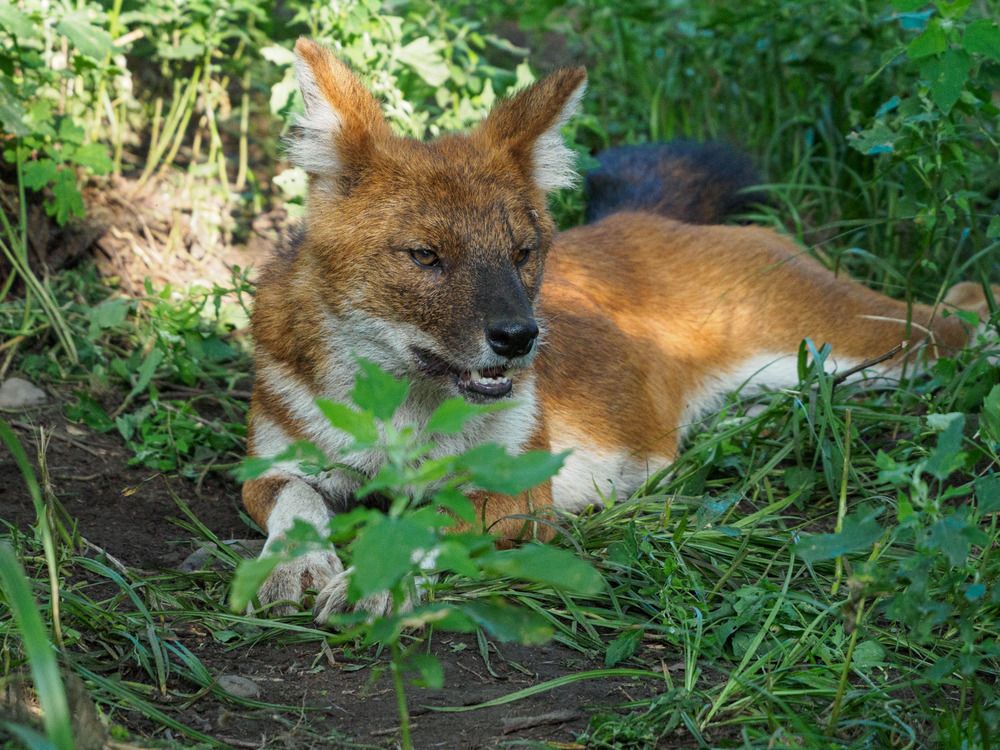 Photograph by Борис Полтавец